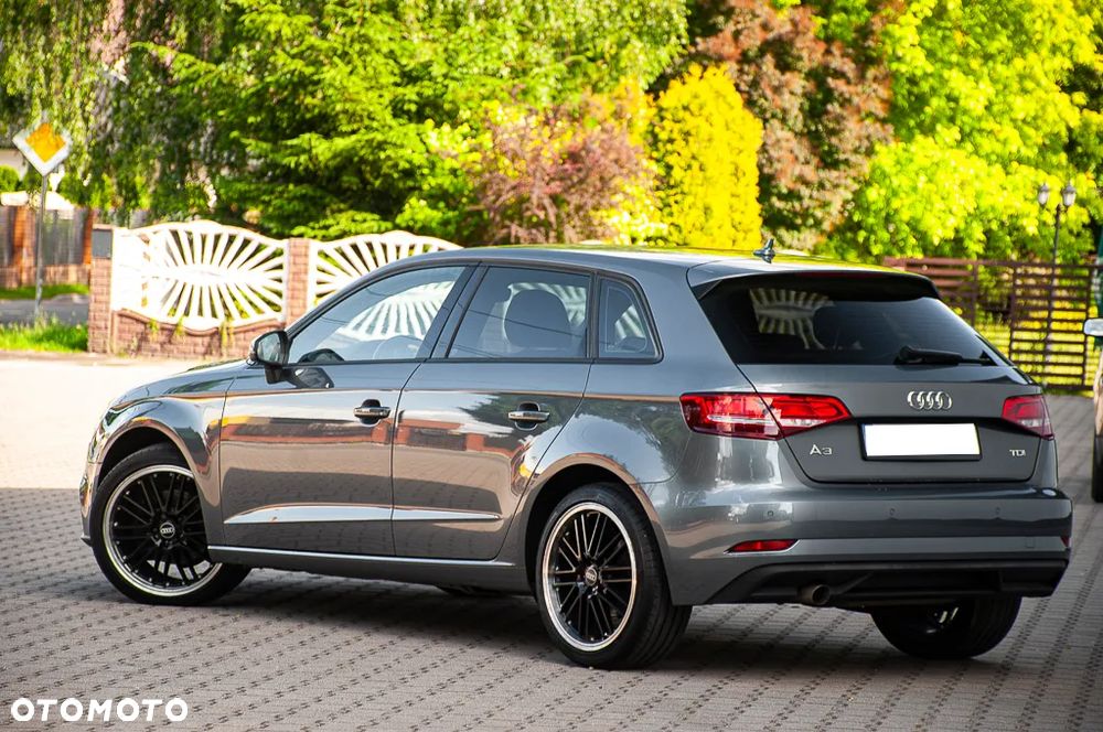 Audi A3 Sportback 1.6 TDI - 16
