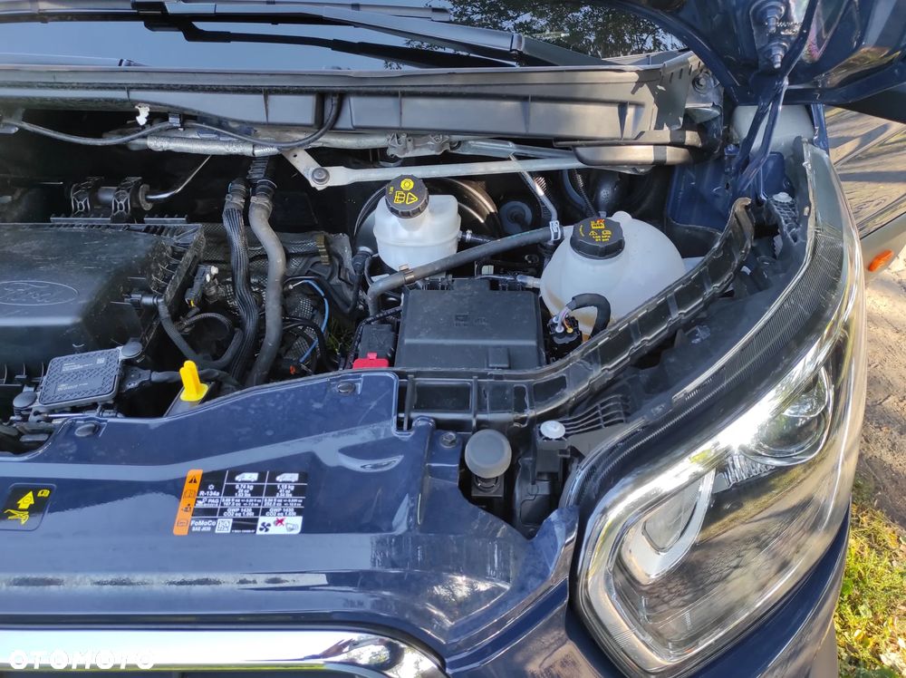 Ford Transit - 17