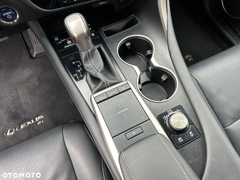 Lexus RX 450h F-Impression - 20