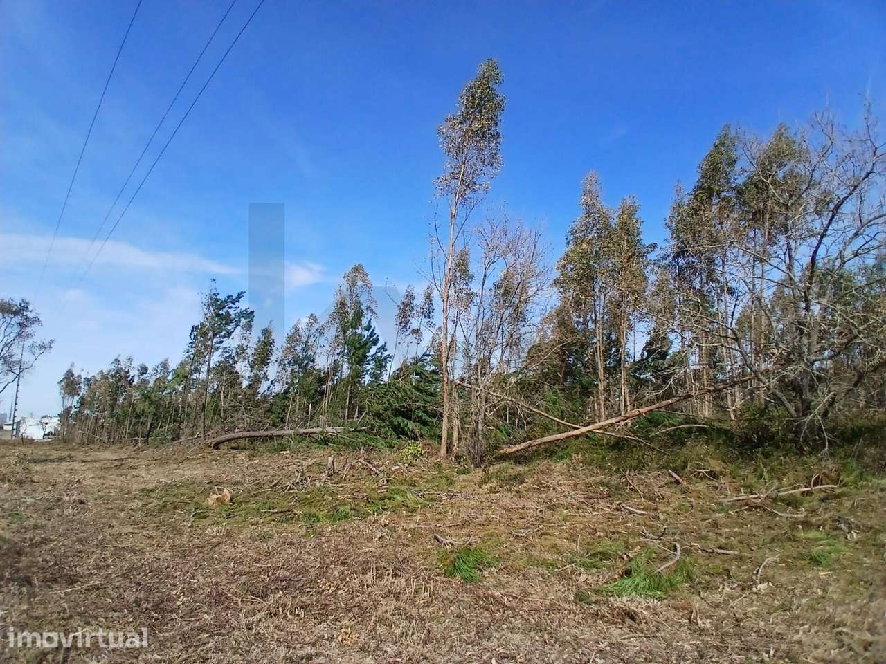 ​​​​​​​​​​​​​​Terreno com 6.970 m2 na Pedrulheira – Marinha Grande - Grande imagem: 4/21