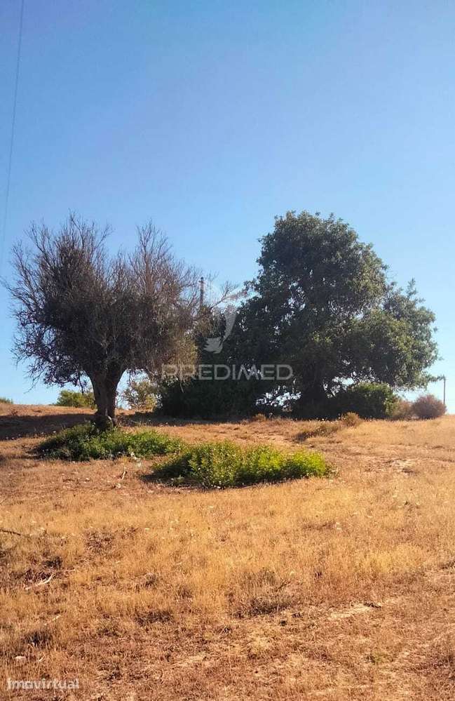 TERRENO RUSTICO A 3 KM DE ALBUFEIRA  com 16.200 m2 - Grande imagem: 3/5