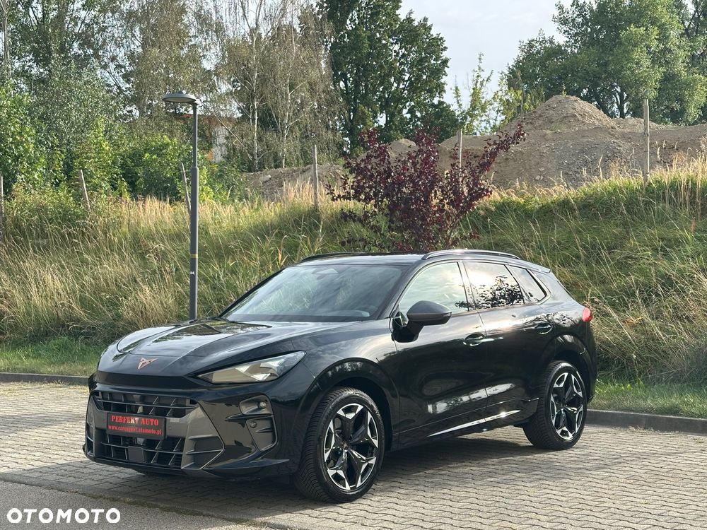 Cupra Terramar 2.0 TSI 4Drive DSG VZ - 2