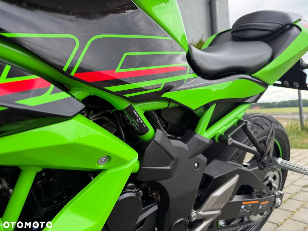 Kawasaki Ninja - 41