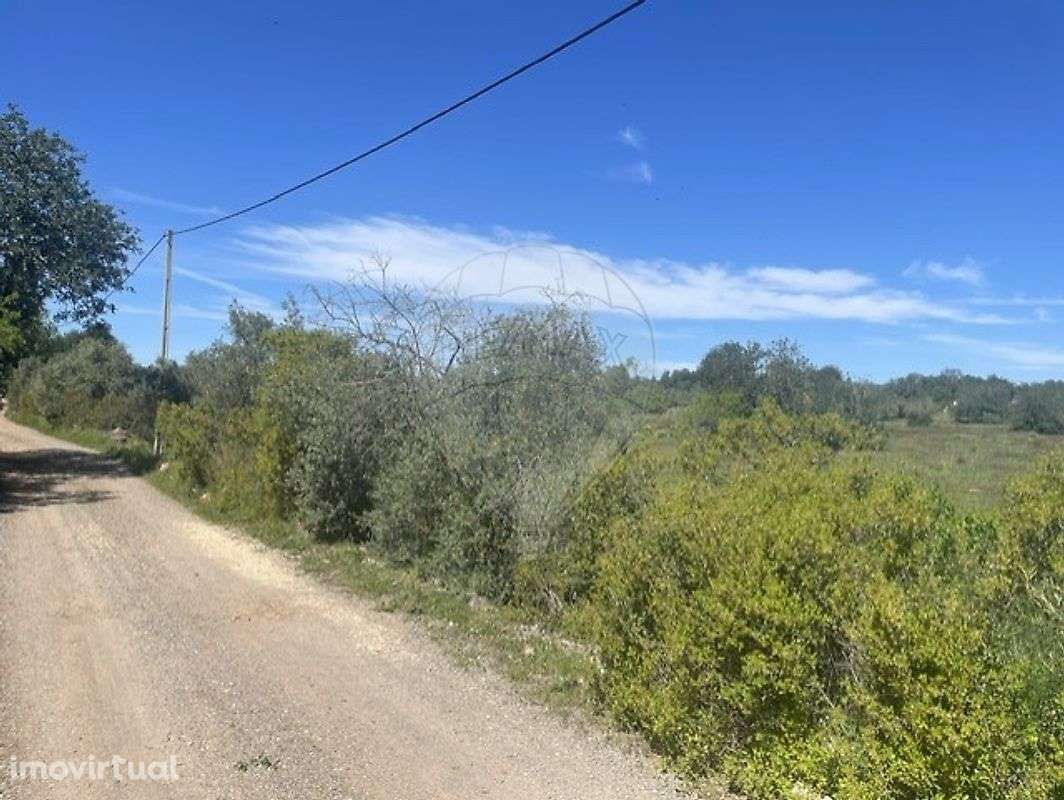 Terreno  para venda - Grande imagem: 3/10