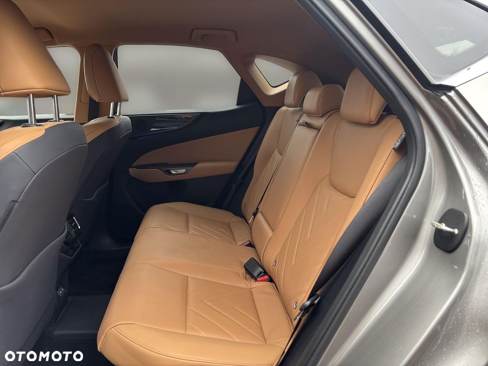 Lexus NX - 13