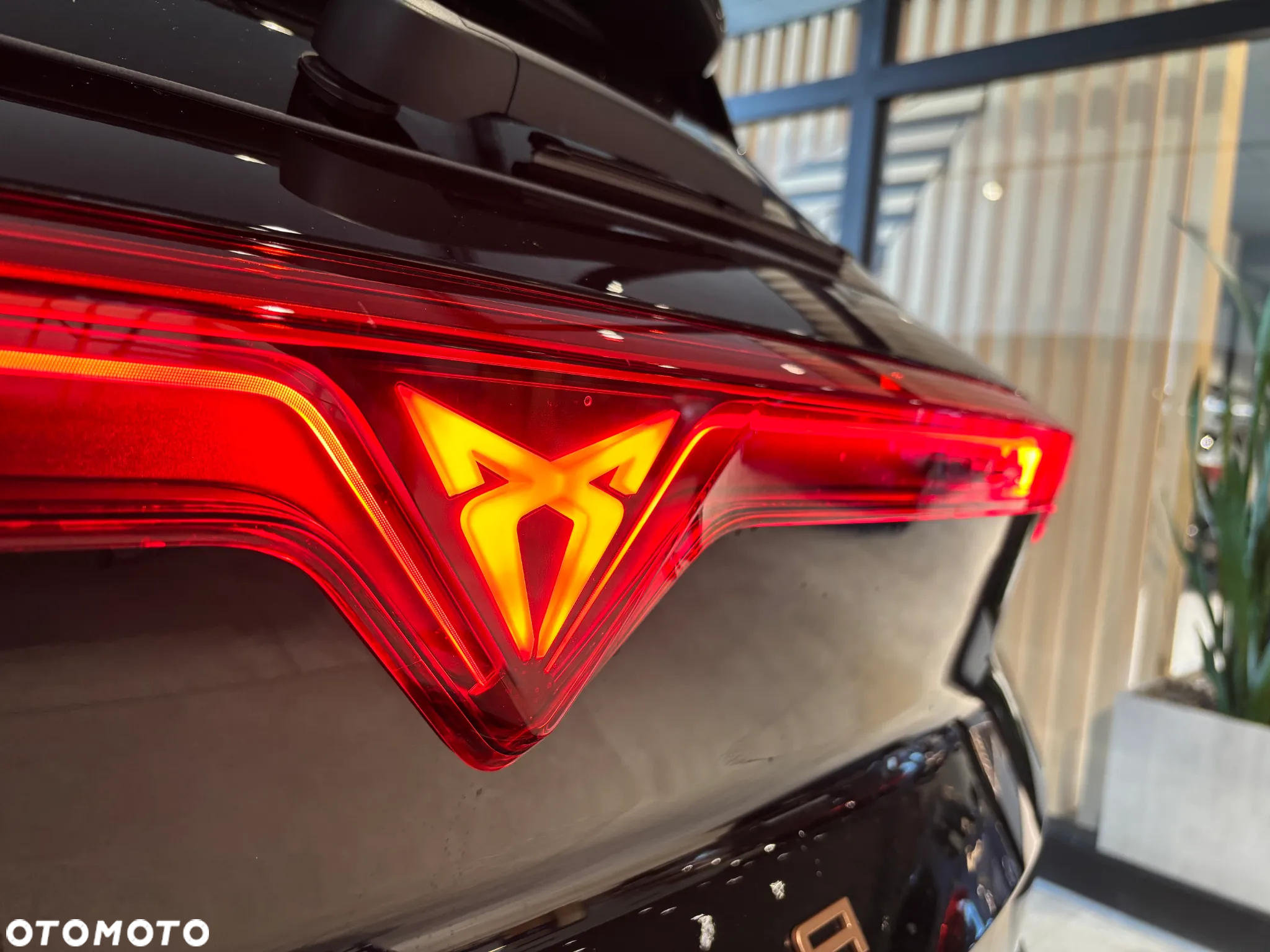 Cupra Terramar 2.0 TSI 4Drive DSG - 6