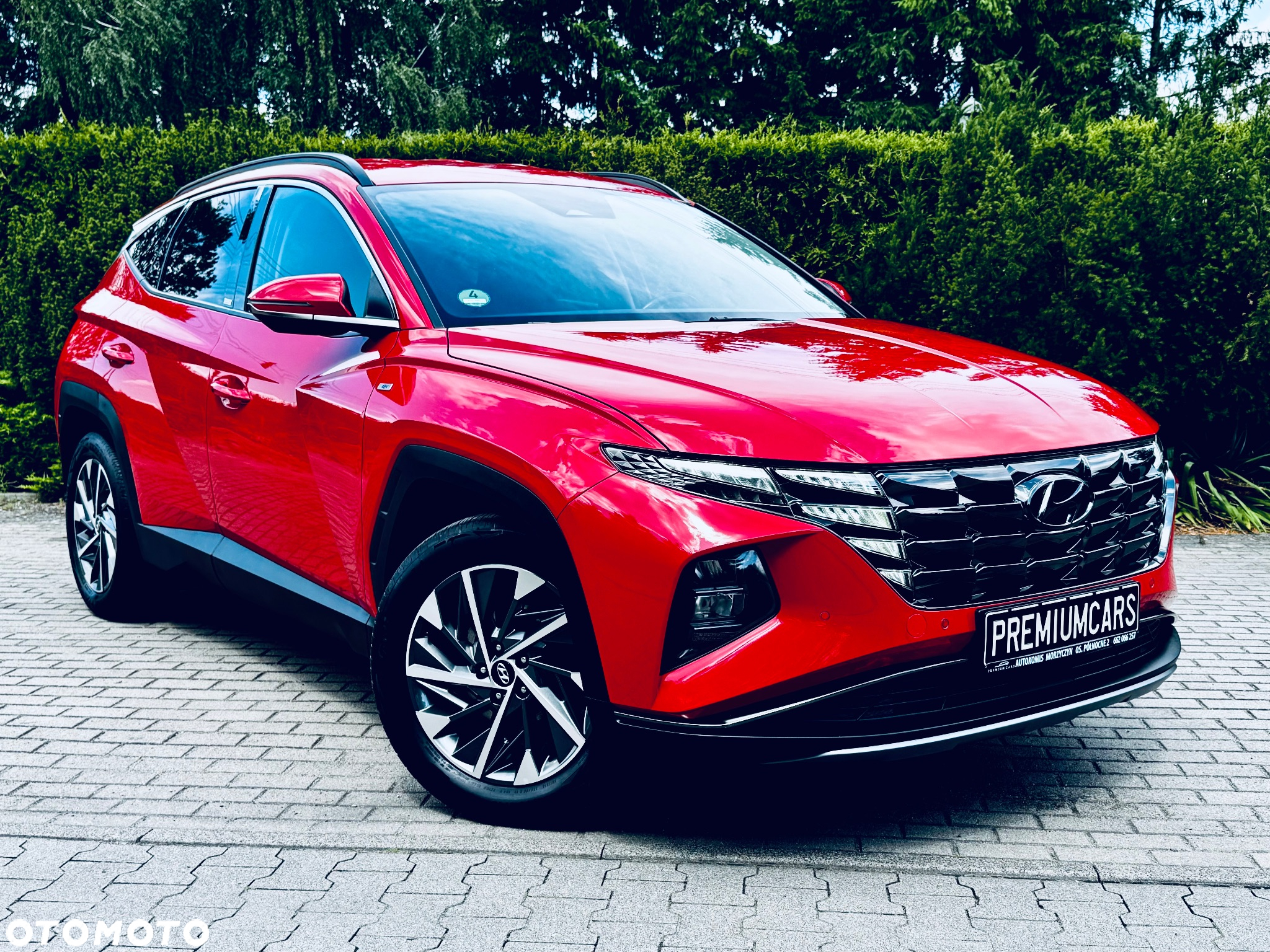 Hyundai Tucson 1.6 T-GDi 48V-Hybrid 2WD DCT Select - 11