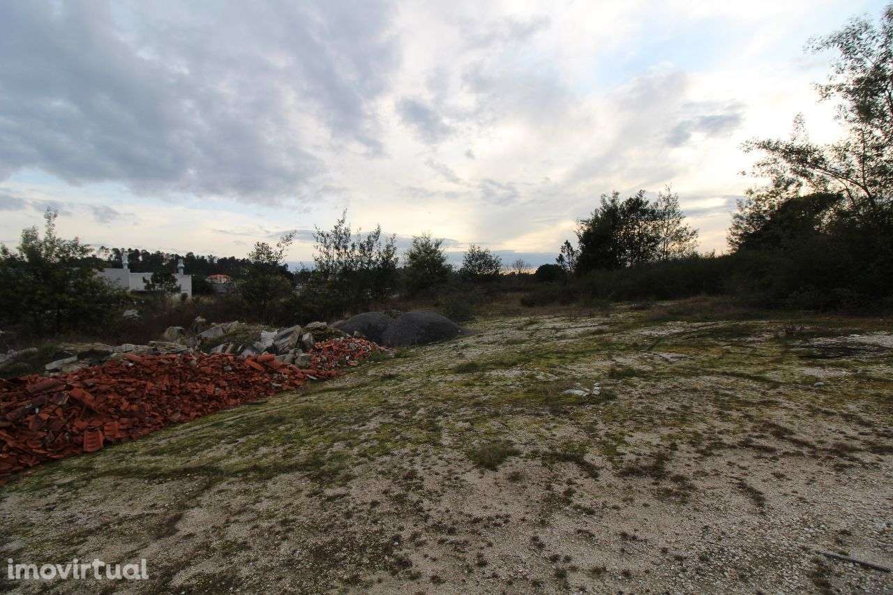 Terreno com 1 Hectare e Armazém - Grande imagem: 3/7