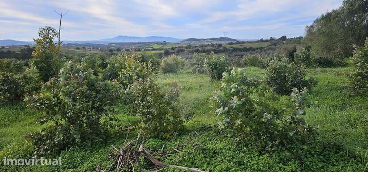 Terreno  para venda - Grande imagem: 2/7