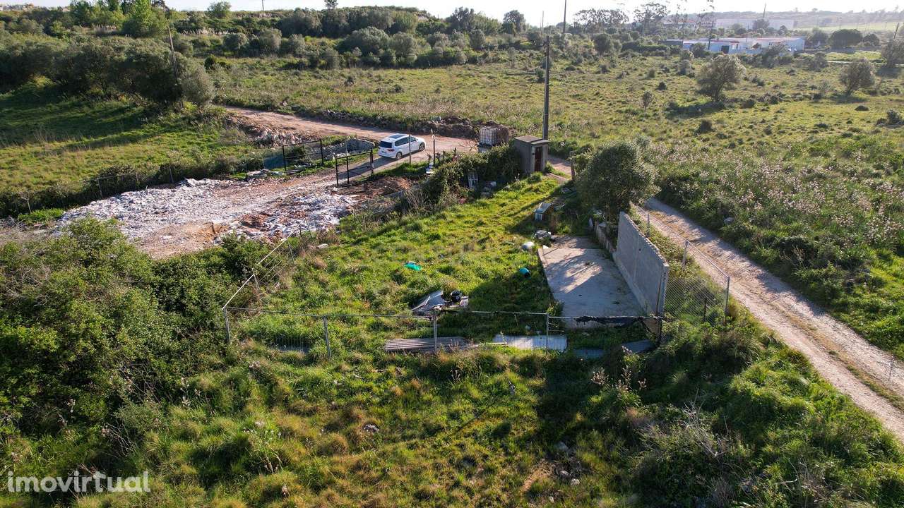 Terreno Rústico na Terrugem - Grande imagem: 2/19