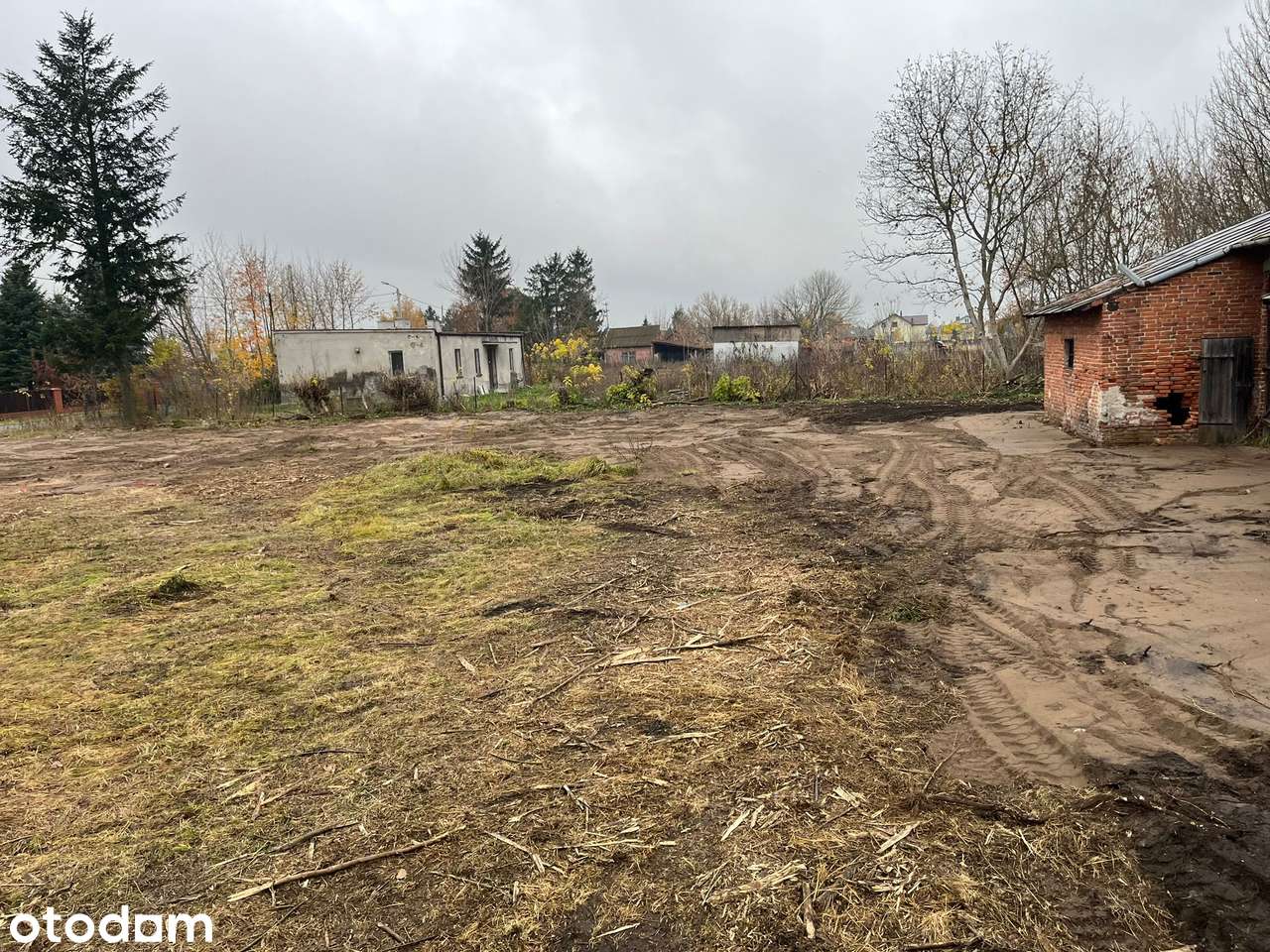 Działka 3300 m² z MPZP – Bednary-Kolonia, gm. Nieborów - Pełny obrazek: 4/5