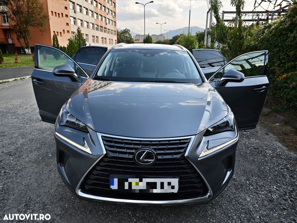 Lexus Seria NX 300h AWD Executive Plus - 4