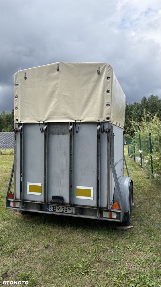Böckmann P11 - 12