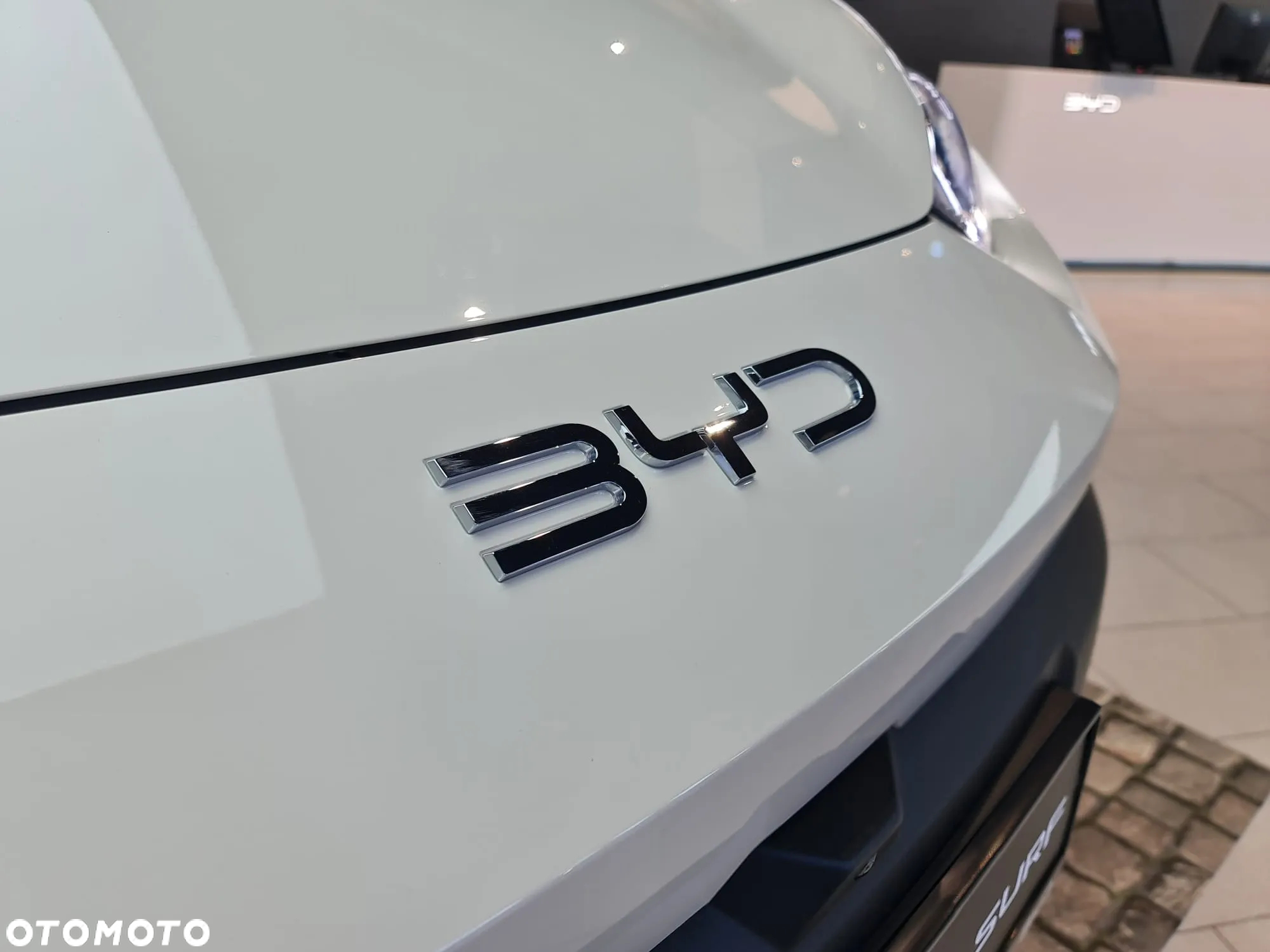 BYD Dolphin Surf - 9