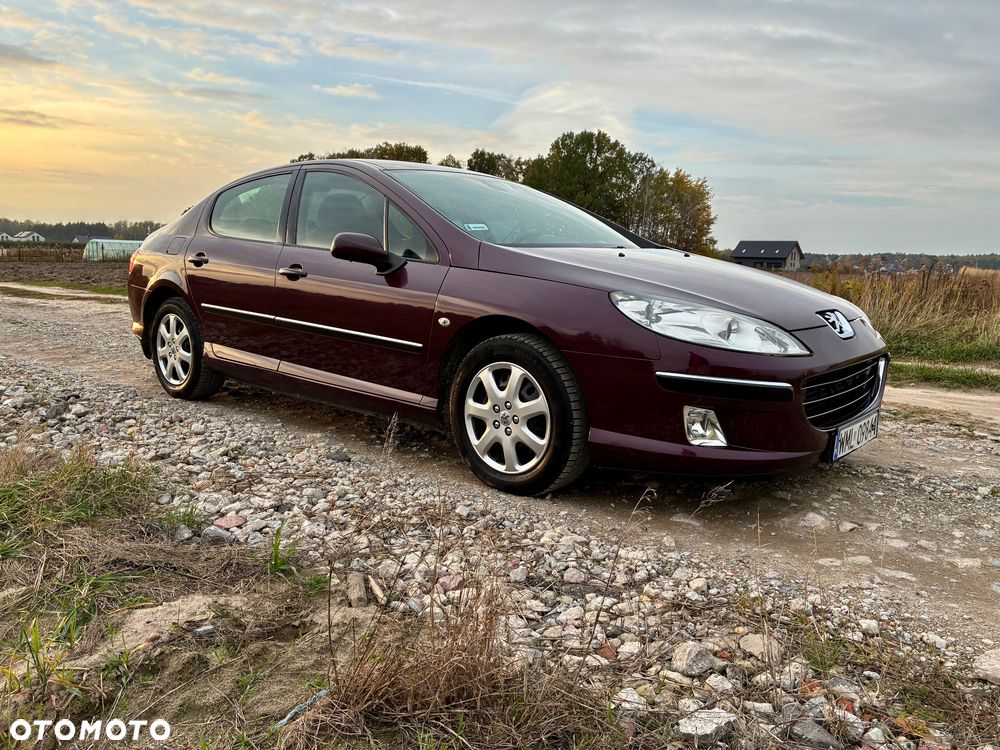 Peugeot 407 - 4