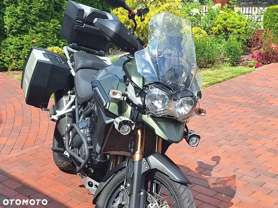 Triumph Tiger - 11