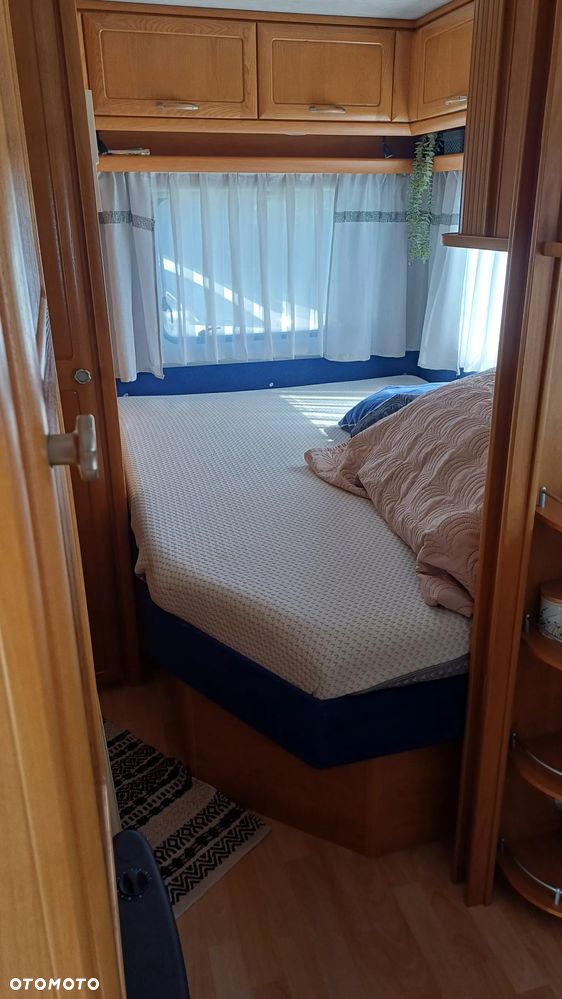 Wilk DE LUX 451 - 9