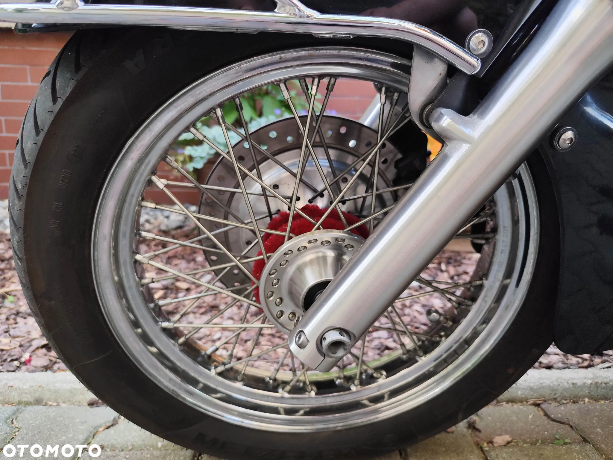 Honda Shadow - 19