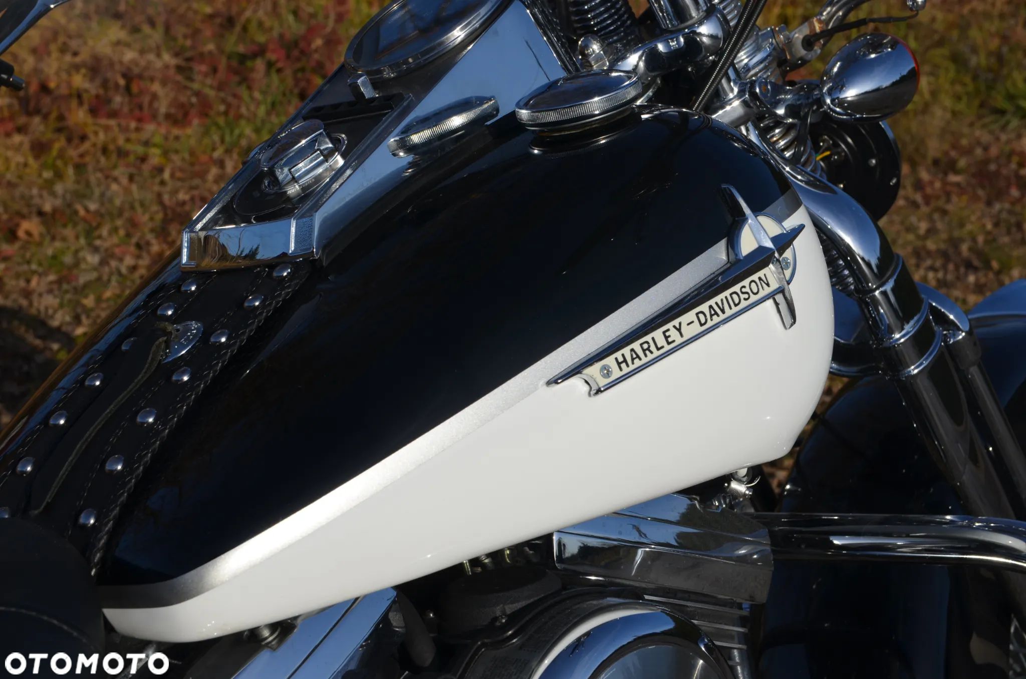 Harley-Davidson Softail Springer Classic - 1