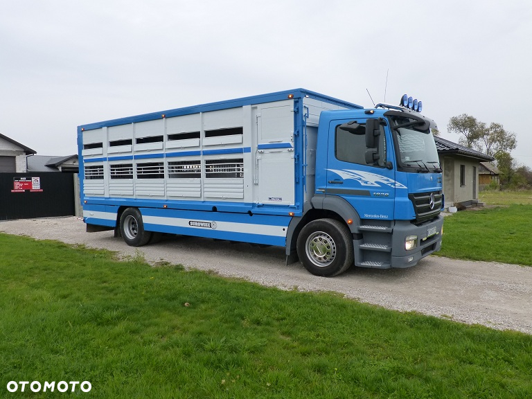 Mercedes-Benz AXOR 1829 DO ŻYWCA / ZWIERZĄT / BYDŁA Z WAGĄ / SUPER STAN / EURO 5 / DŁ. 7.50 M / CAŁY NA PODUSZKACH / DMC 18T!! - 3