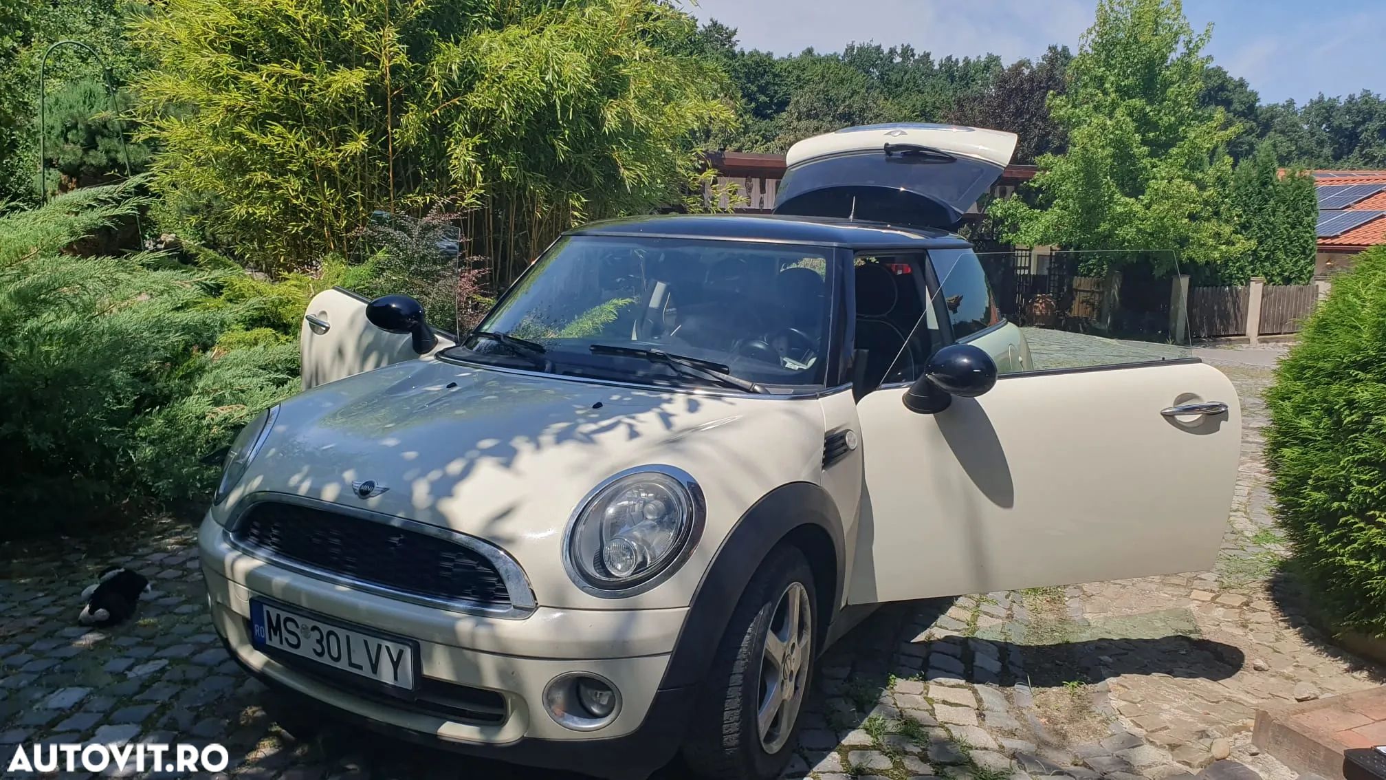 Mini Cooper Standard - 1