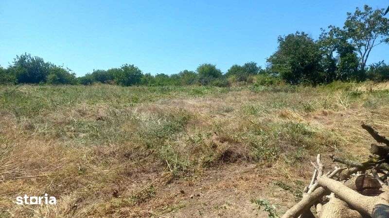 Teren Ganeasa, langa lac, 3 loturi 680 mp - Imagine principală: 3/8