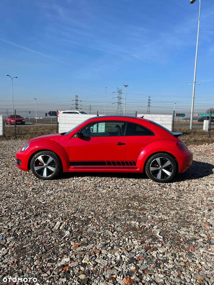 Volkswagen Beetle - 7