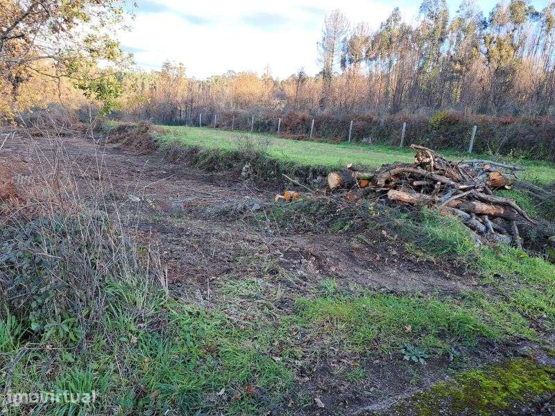 Terreno em zona agrícola com 2600 m2 - Grande imagem: 2/5