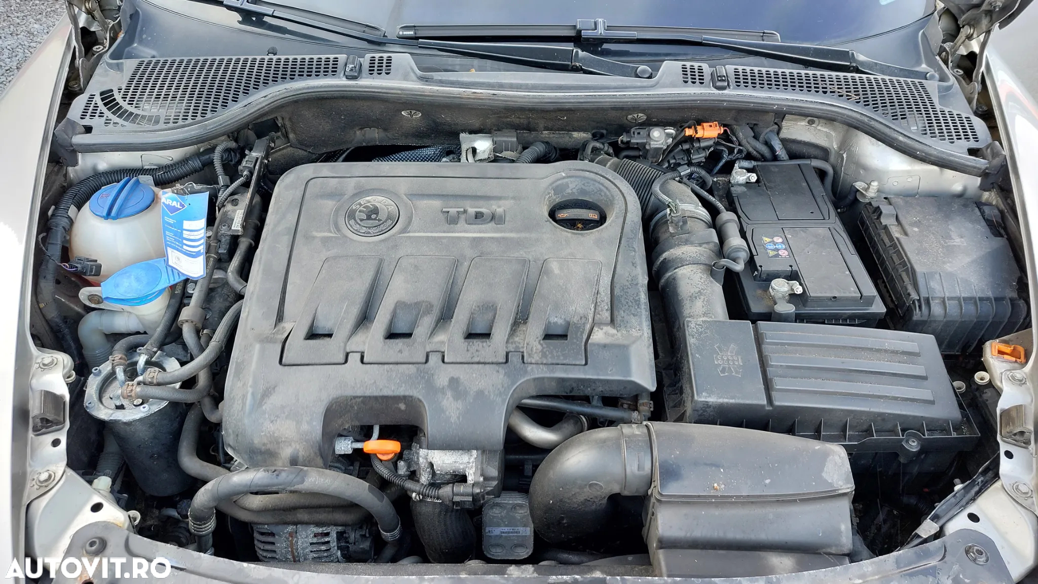 Skoda Octavia Combi 2.0 TDI DPF Scout 4x4 - 13