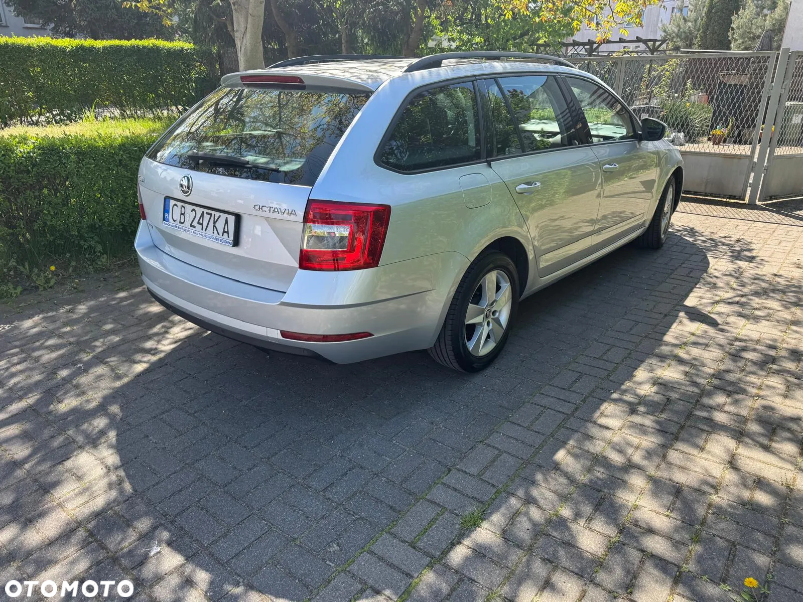 Skoda Octavia 1.6 TDI Active - 2