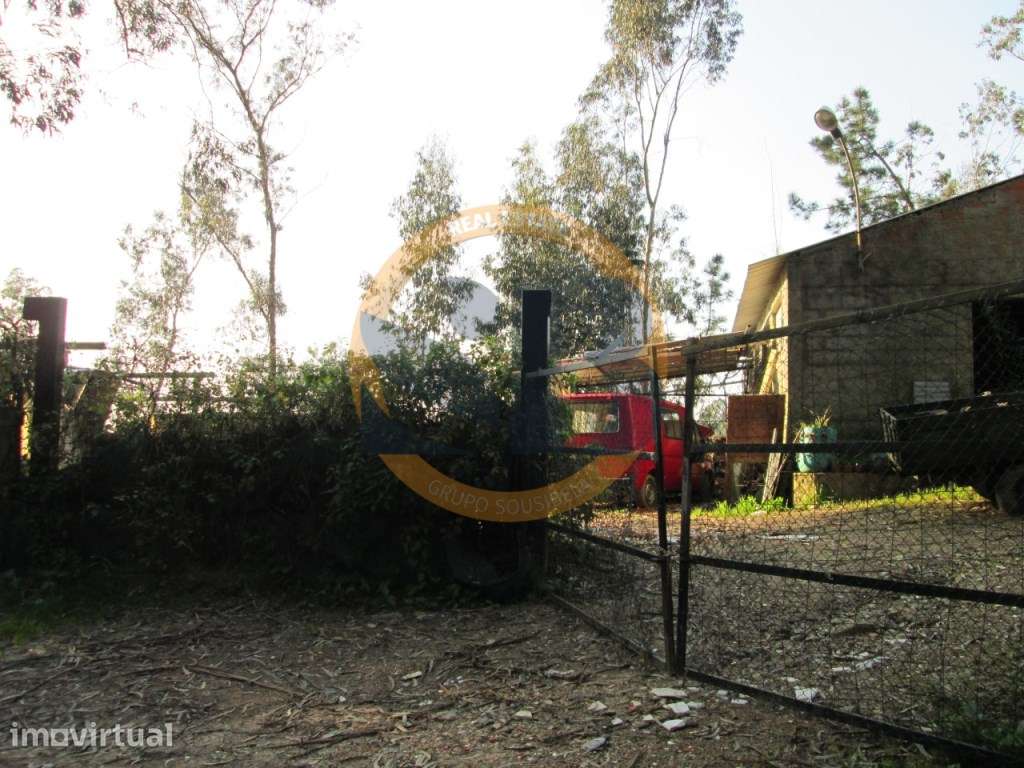 Terreno em Oliveira de Azeméis - Grande imagem: 5/7