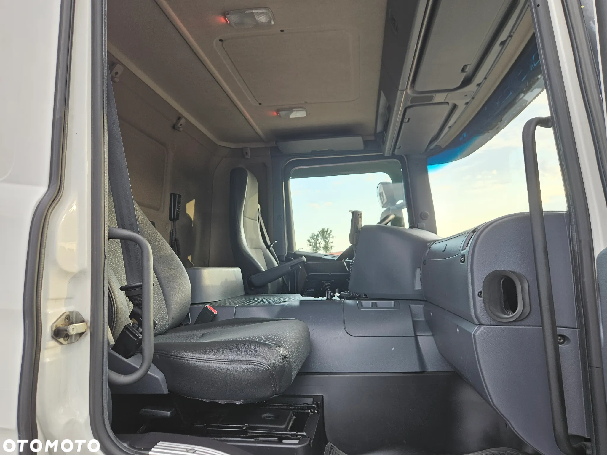 Scania P 250 - 25