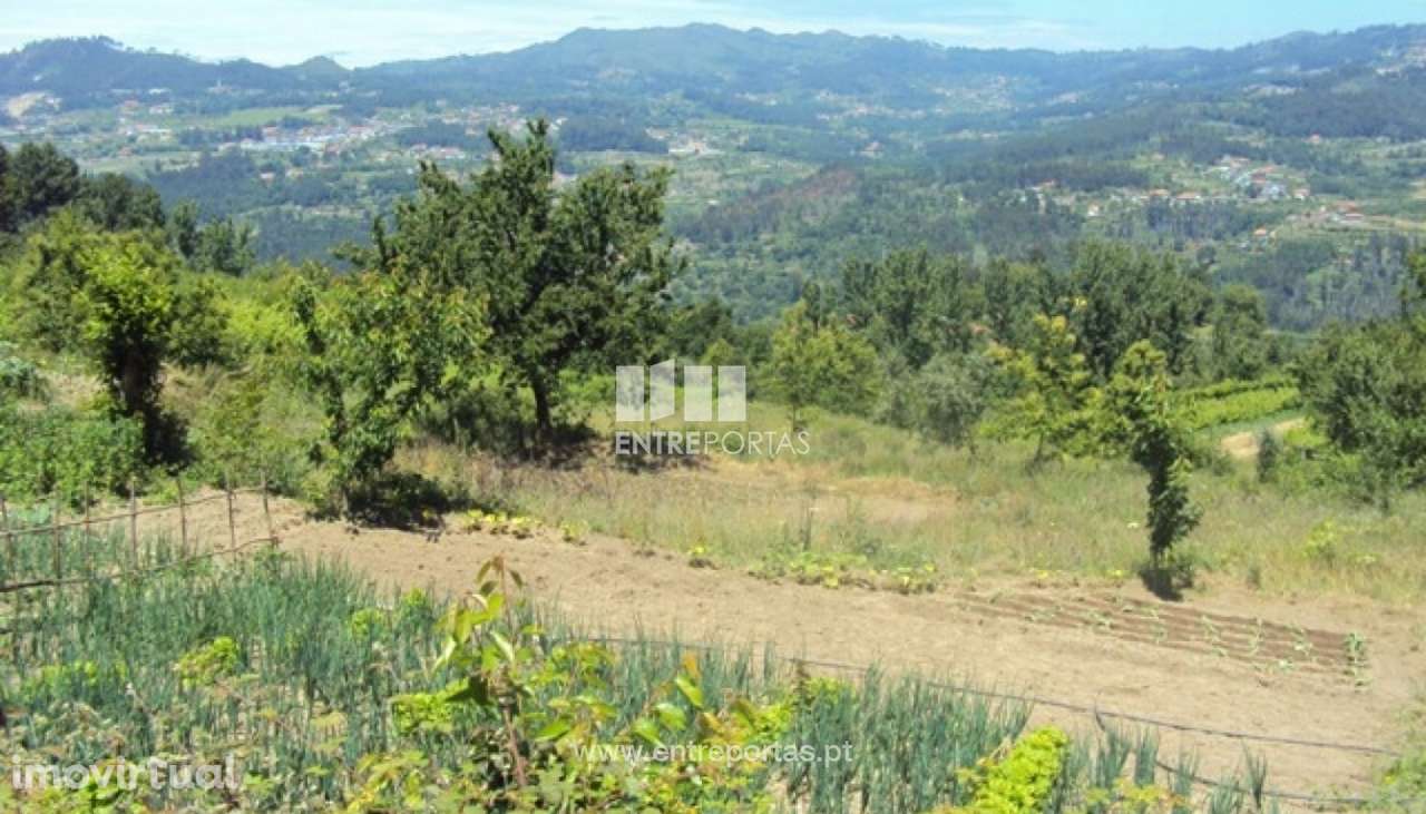 Venda Terreno,Tarouquela, Cinfães - Grande imagem: 4/30