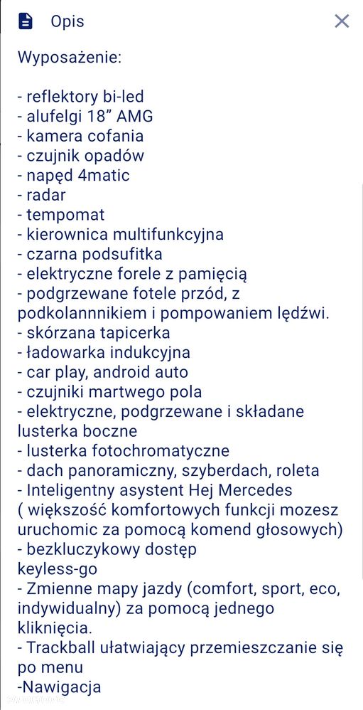 Mercedes-Benz Klasa A 250 4-Matic AMG Line 7G-DCT - 30