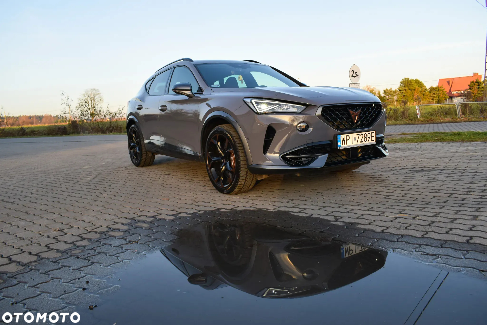 Cupra Formentor - 19