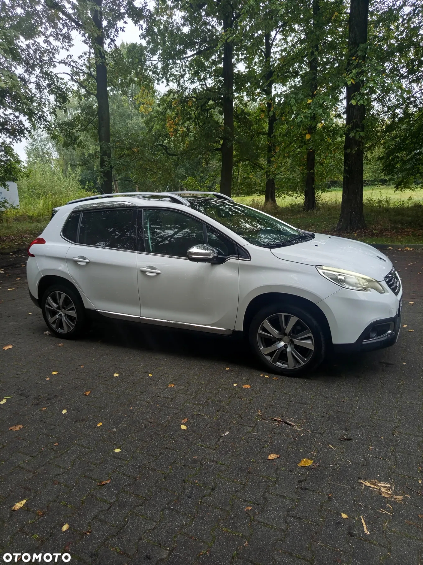 Peugeot 2008 1.6 e-HDi Allure S&S - 7