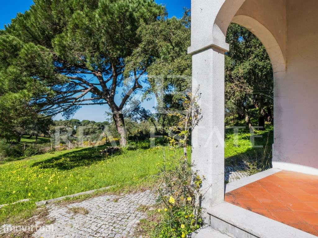 COUNTRY COTTAGE | Sesimbra - Grande imagem: 3/56