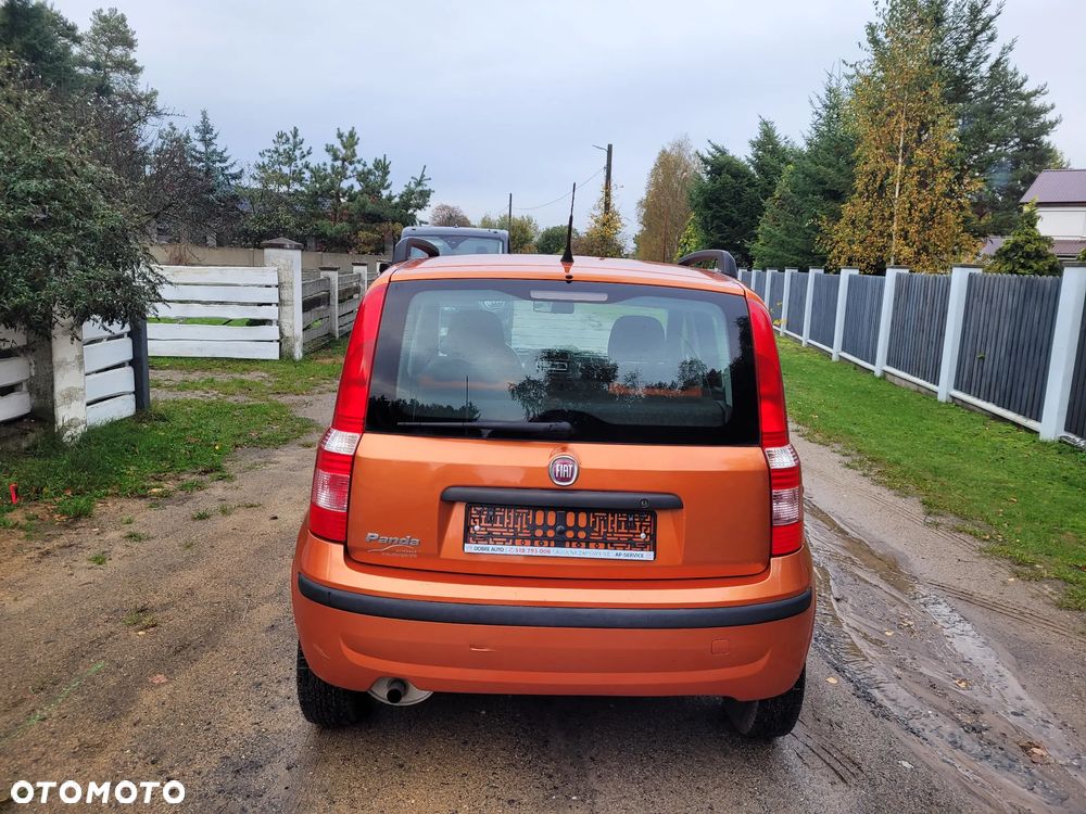 Fiat Panda 1.2 Dynamic Plus - 6