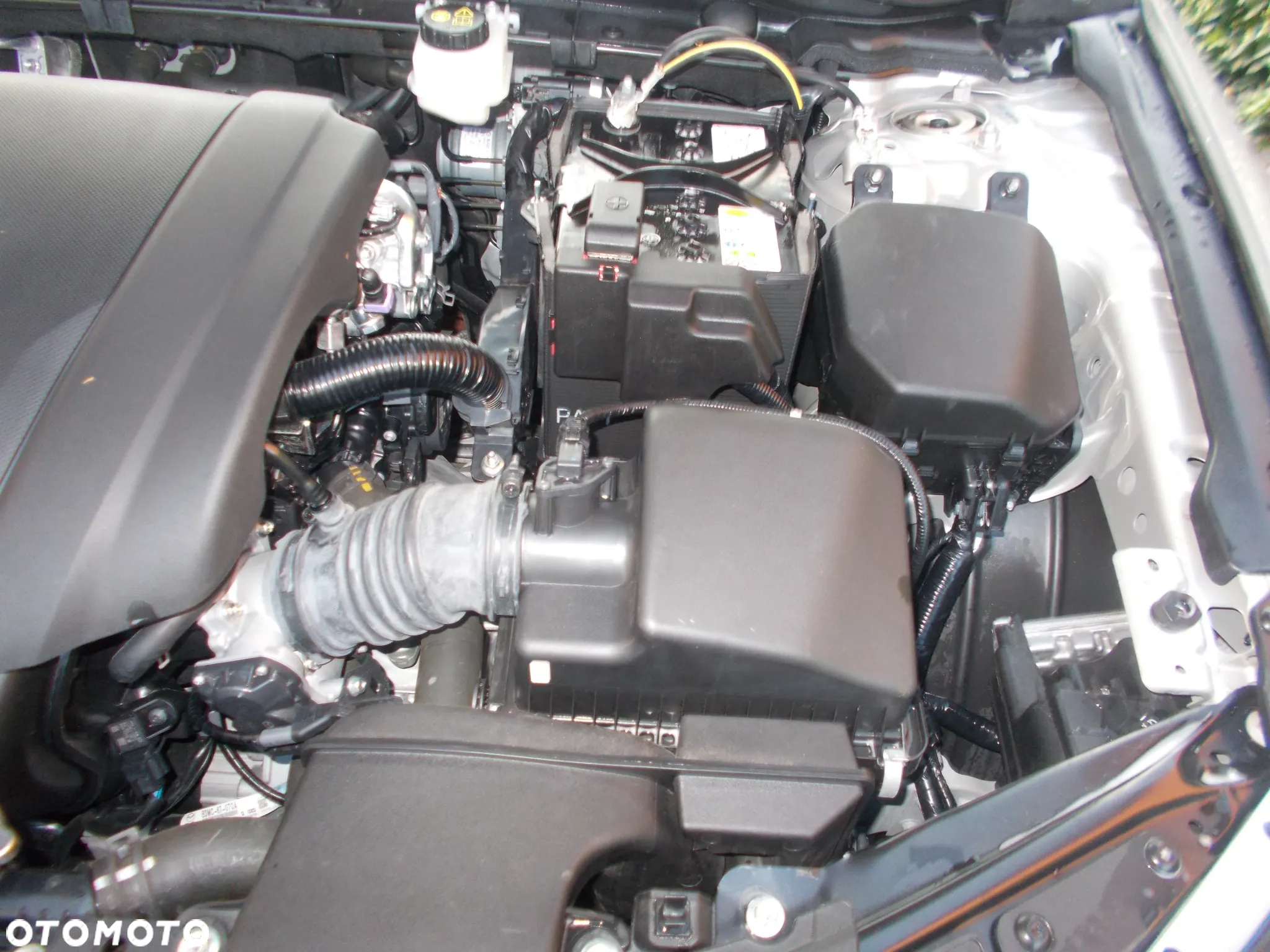 Mazda 3 - 23