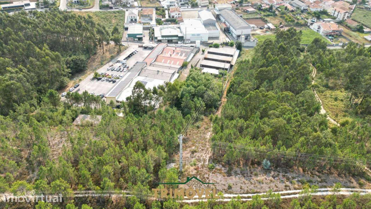 Pavilhão industrial em São Roque, Oliveira de Azeméis - Grande imagem: 3/23