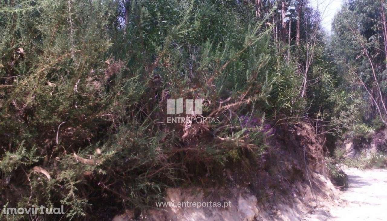 Venda de terreno, Canidelo, Vila do Conde - Grande imagem: 4/5