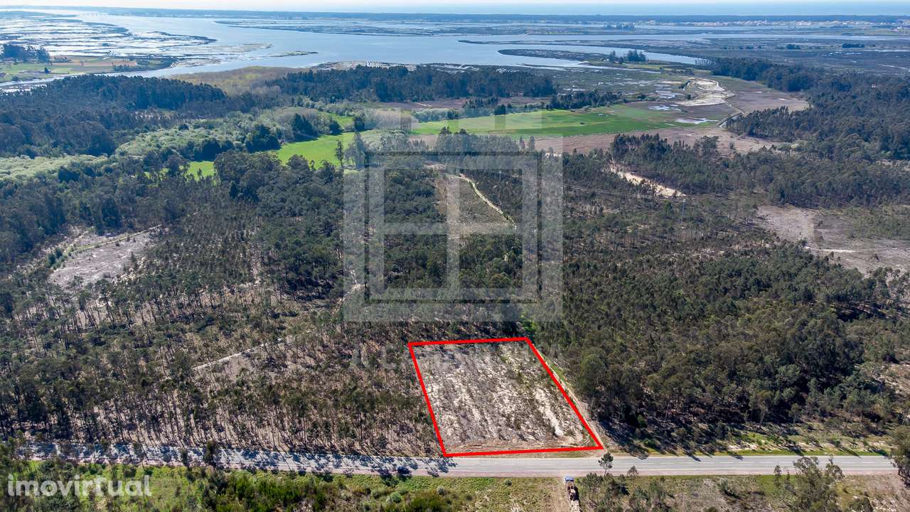 Terreno rústico com 3.810 m2 em Válega - Grande imagem: 5/18