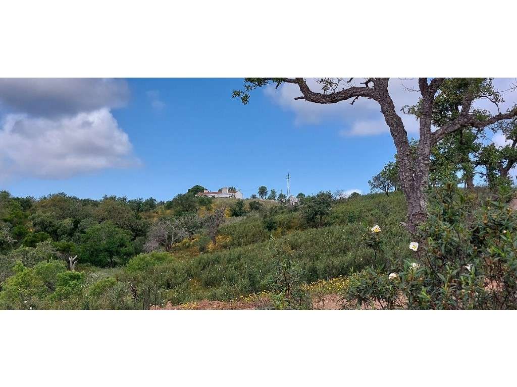 HERDADE (19ha) - Grande imagem: 2/15