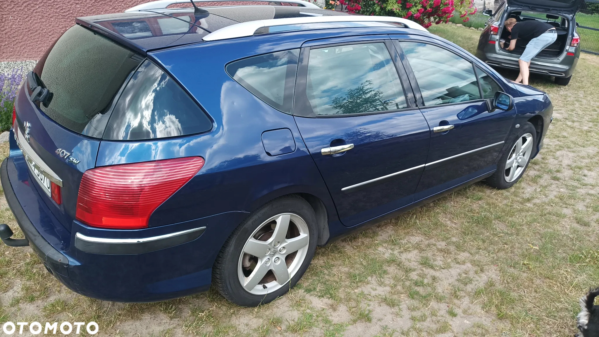 Peugeot 407 SW 115 - 8