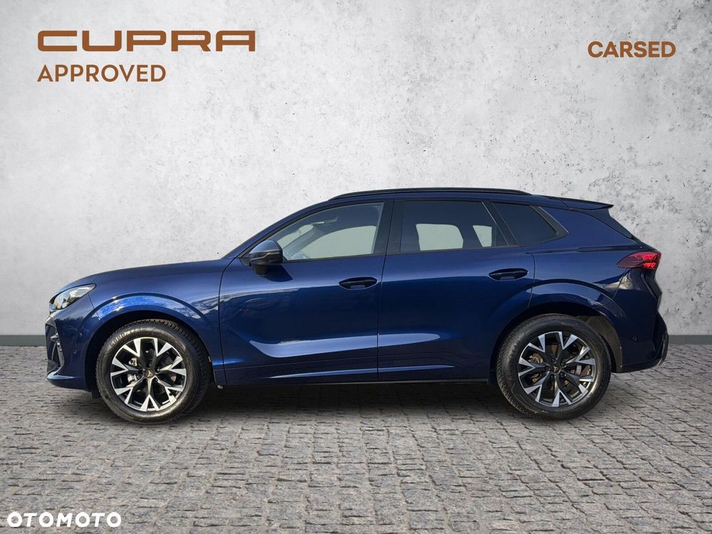 Cupra Terramar - 3