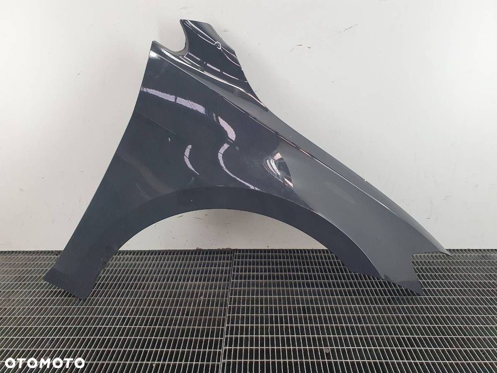 BŁOTNIK PRZÓD PRAWY