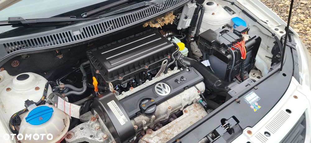 Volkswagen Polo 1.4 United - 28
