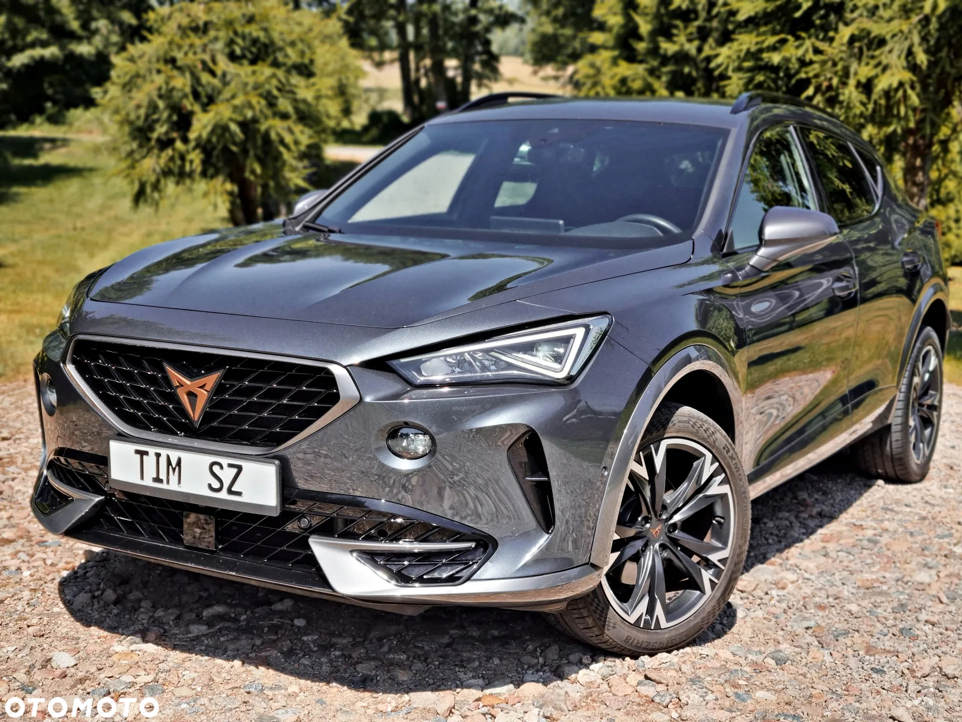 Cupra Formentor 2.0 TDI - 5