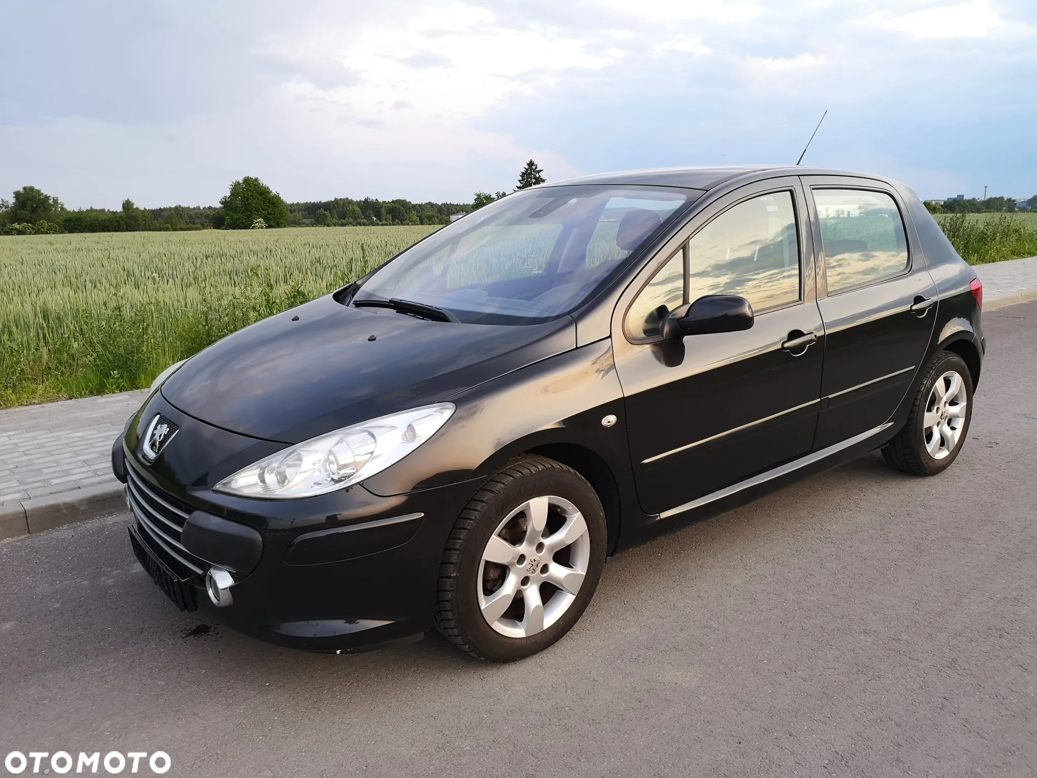 Peugeot 307 110 OXYGO - 31