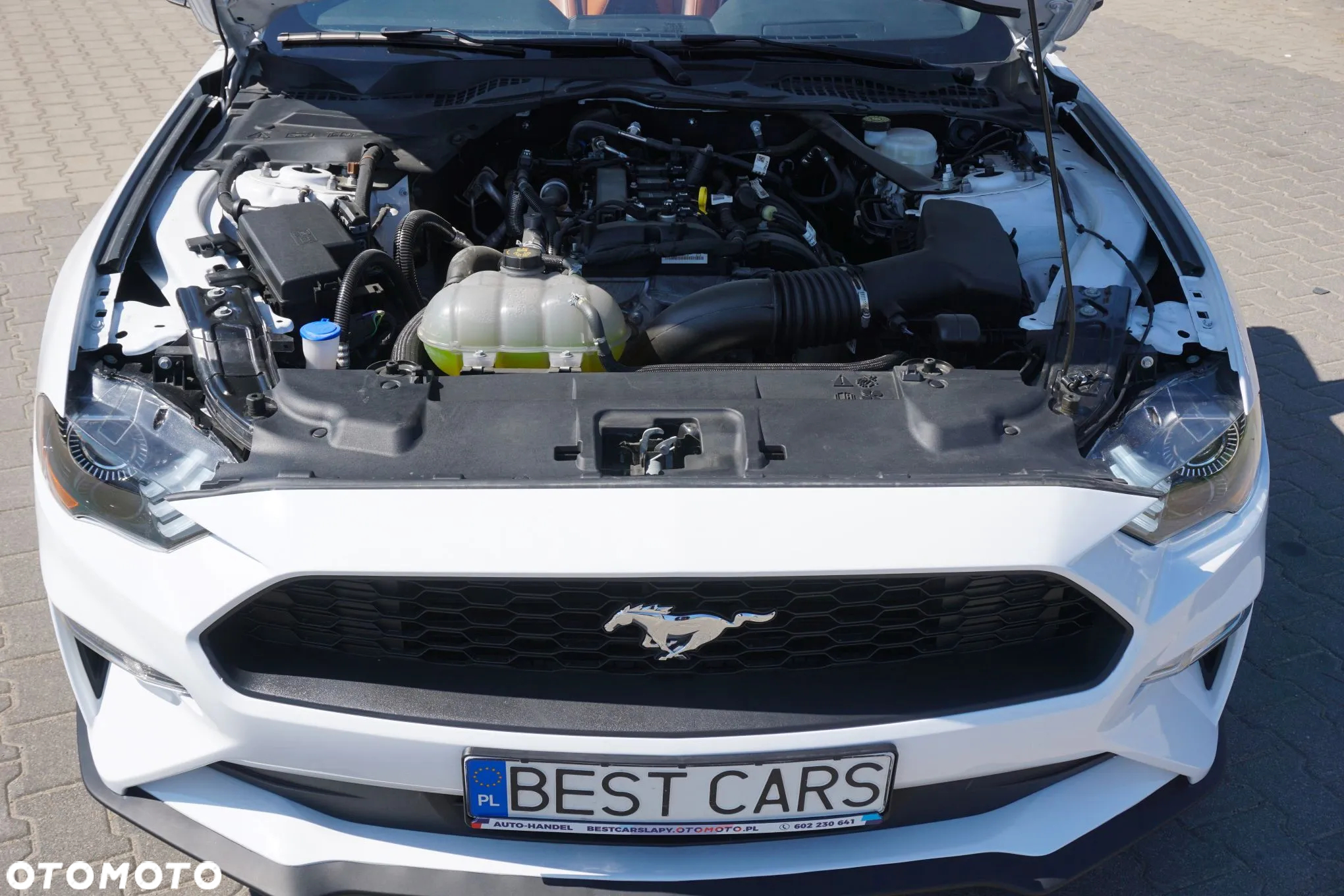 Ford Mustang Cabrio 2.3 Eco Boost - 35